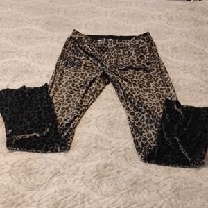 Pam & Gela Woman's Leopard Print Pull Up Pants With Side Slits, Size: M